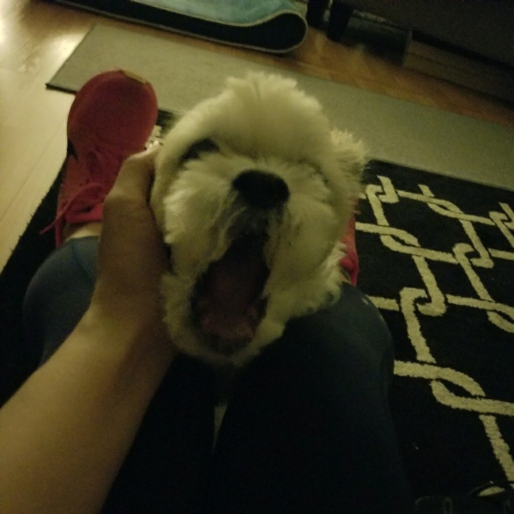 Meet your Posher, Katie